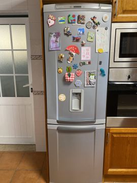 Refrigerator Repairman