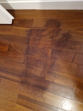 Flooring Specialist