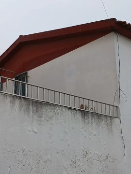 Exterior Painting