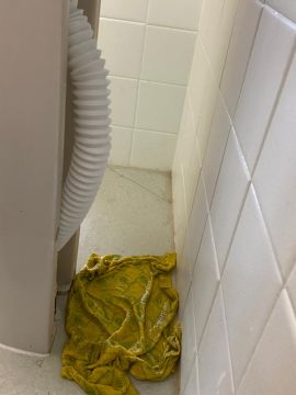 Odd Job Worker