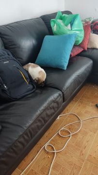 Empresa de Mudanças