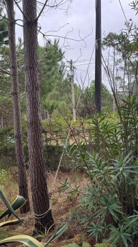 Jardinagem e Relvados