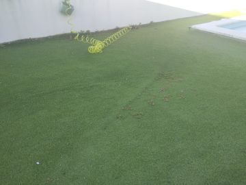 Paisagismo