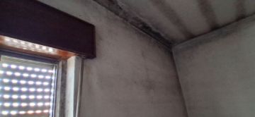 Pintura de Casas