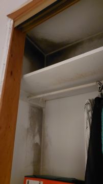 Interior Painter