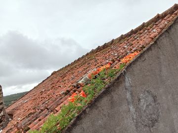 Dachbau oder -austausch - Dachdecken