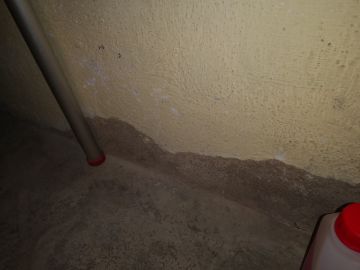 Painting - Home Improvements