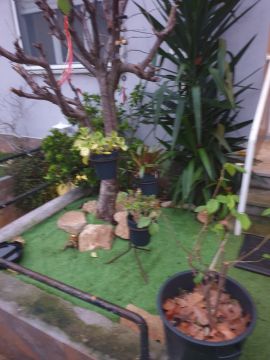 Gardening