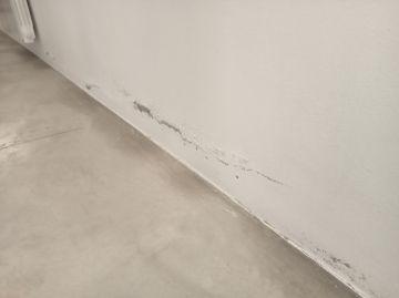 Pintura