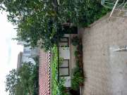 Roof Installation Professional