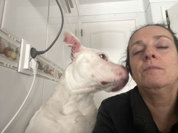 Hundepension - Haustierbetreuung und Tierpension