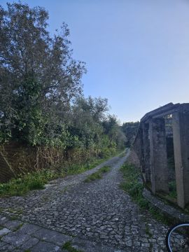Jardinagem - Jardinagem e Relvados