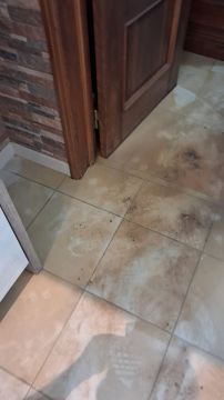 Especialista de Limpeza - Serviços Domésticos