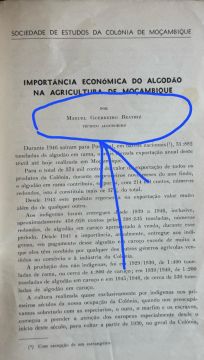 Genealogia - Serviços Pessoais