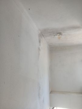 Pintura de Casas