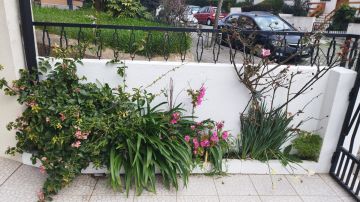 Serviço de Jardinagem - Casa
