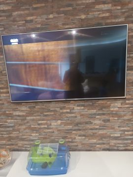TV Repair Specialist