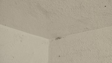 Impermeabilização da Casa - Isolamentos