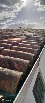 Roofing