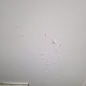 Peinture intérieure