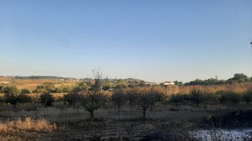Topógrafo