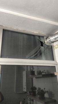 Carpintero del metal para la reparación de ventanas