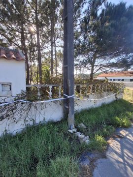 Serviço de Jardinagem