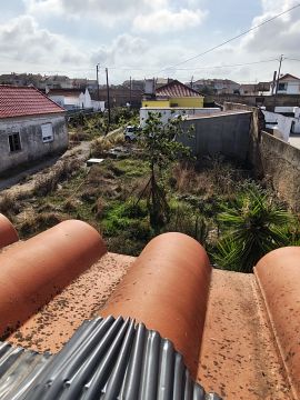 Serviço de Jardinagem