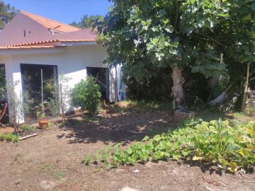 Jardinagem