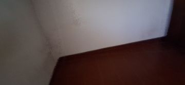 Pintura de Casas - Pintura