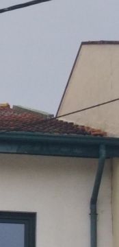Especialista de Limpeza de Telhados