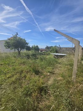 Jardinagem