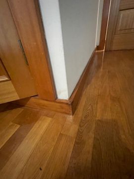 Plant -Caregiver - Home Improvements