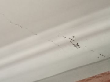 Aplicação de Estuque - Paredes, Pladur e Escadas