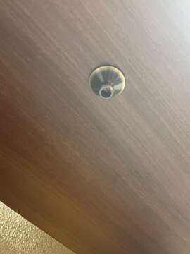 Carpentry and Woodworking