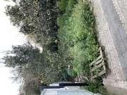 Gardener - Home Improvements