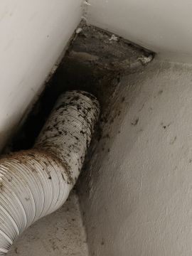 Limpieza de chimeneas