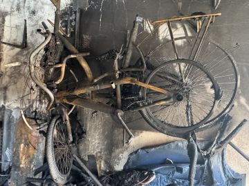 Especialista em Remoção de Lixo e Entulho - Casa