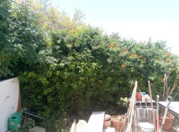 Serviço de Jardinagem - Casa