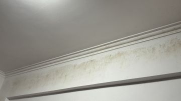 Pintura - Casa