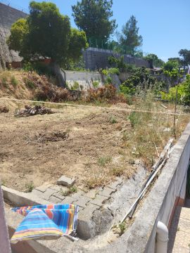 Artificial Turf Specialist