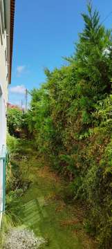 Gardening
