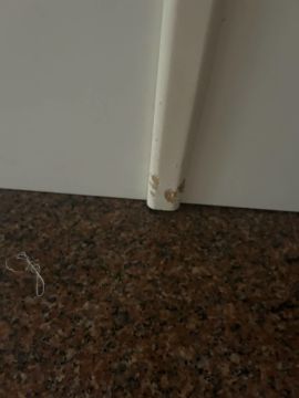 Especialista em Reparação de Portas