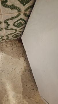 Canalizador