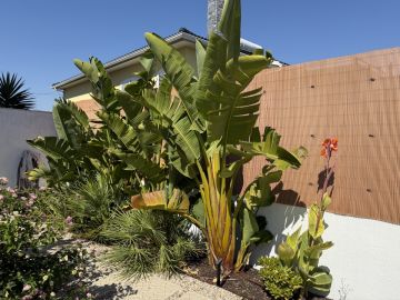 Jardinagem e Relvados - Casa
