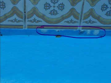 Especialista de Reparação de Piscinas