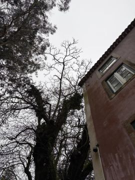 Jardinagem e Relvados