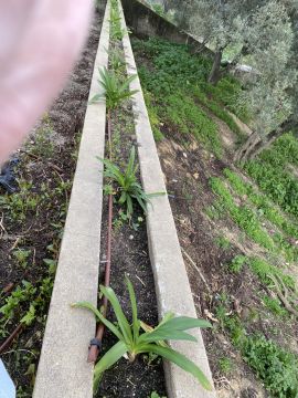 Gardening