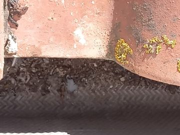 Roof Installation Professional
