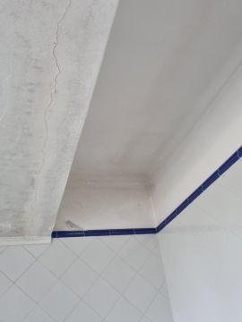 Waterproofing Specialist